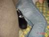 dsc00012_small.jpg