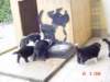 dsc00013_small.jpg