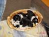 dsc00014_small.jpg