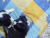 dsc00018_small.jpg