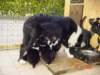 dsc00018b_small.jpg