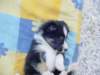 dsc00019_small.jpg