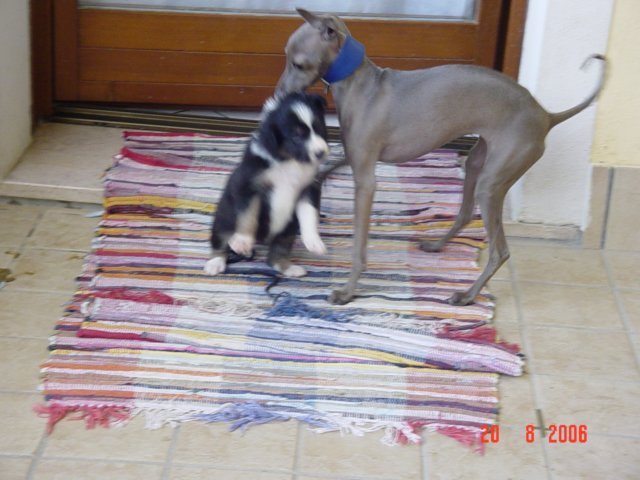 dsc00019b.jpg
