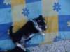 dsc00020_small.jpg