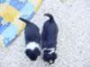 dsc00021_small.jpg