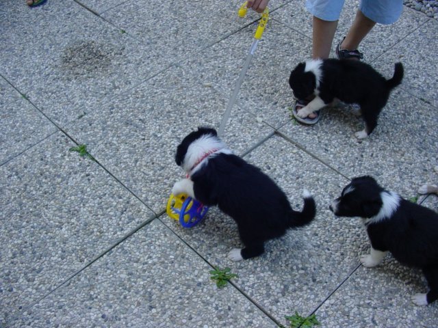 dsc00023b.jpg