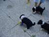 dsc00023b_small.jpg