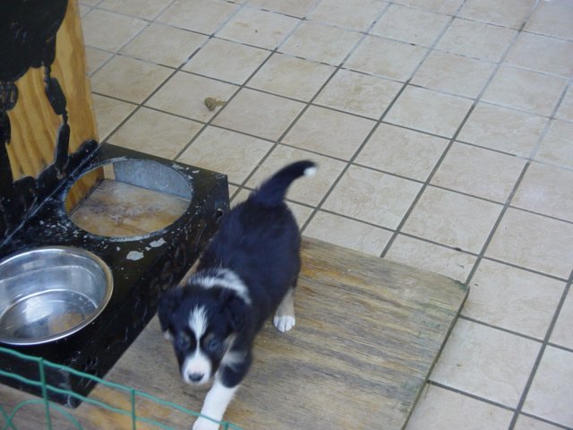 dsc00024.jpg