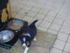 dsc00024_small.jpg