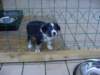 dsc00025_small.jpg
