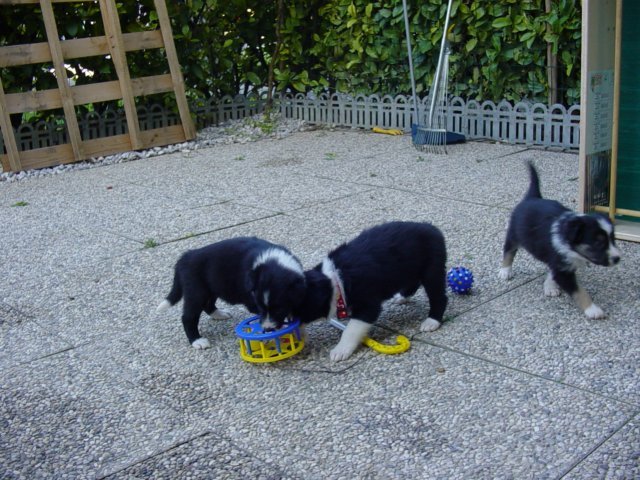 dsc00026.jpg