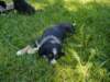 dsc00028_small.jpg
