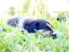 dsc00029_small.jpg