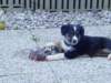 dsc00030_small.jpg