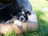 dsc00032_small.jpg