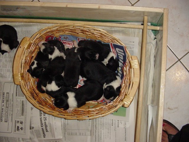 dsc00046.jpg
