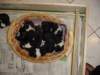 dsc00046_small.jpg