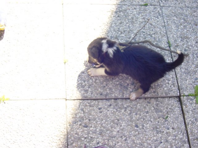 e11.jpg