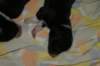 img_2521_small.jpg