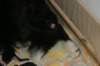img_2535_small.jpg
