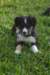 img_3279_small.jpg
