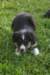 img_3280_small.jpg