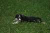 img_3328_small.jpg