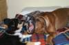img_3800_small.jpg