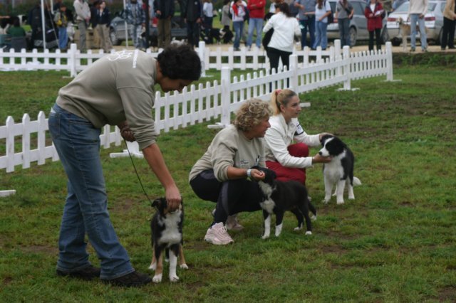 img_3845.jpg