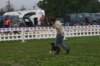 img_3846_small.jpg