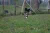 img_3894_small.jpg