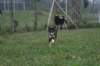 img_3895_small.jpg