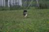 img_3900_small.jpg