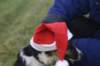 img_4136_small.jpg