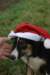 img_4160_small.jpg
