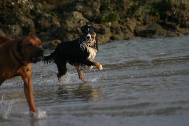 img_4180.jpg