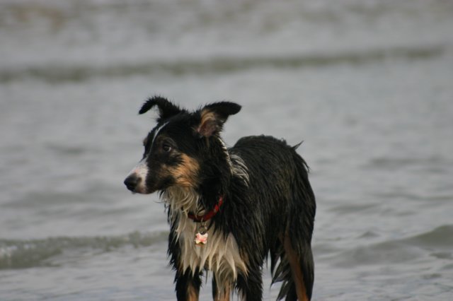 img_4287.jpg