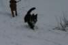img_4547_small.jpg