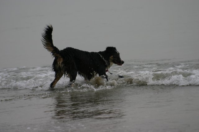 img_4743.jpg