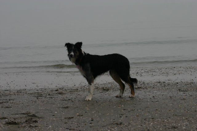 img_4865.jpg