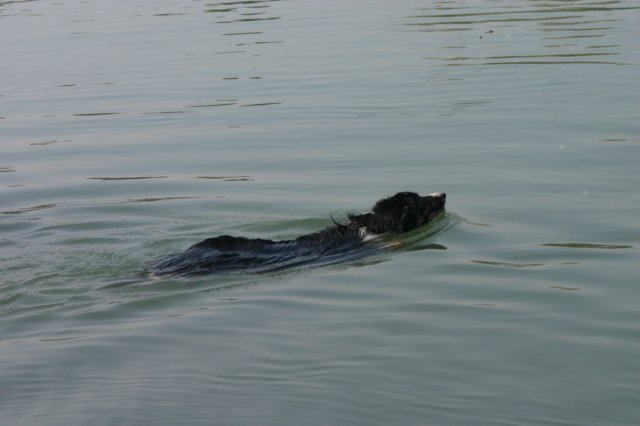 img_5551.jpg