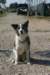 img_6393_small.jpg