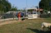 img_6404_small.jpg