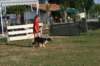 img_6405_small.jpg