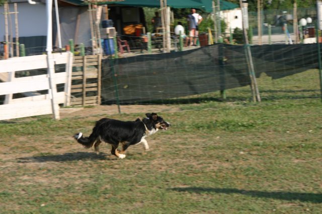 img_6409.jpg