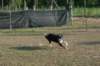 img_6410_small.jpg