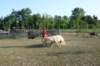 img_6412_small.jpg