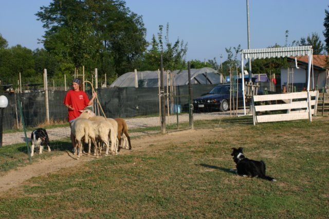 img_6413.jpg