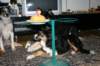 img_6488_small.jpg