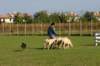 img_6595_small.jpg